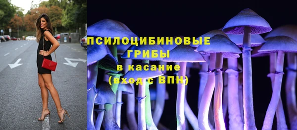 прущие крисы Аркадак