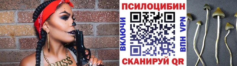Галлюциногенные грибы GOLDEN TEACHER Завитинск