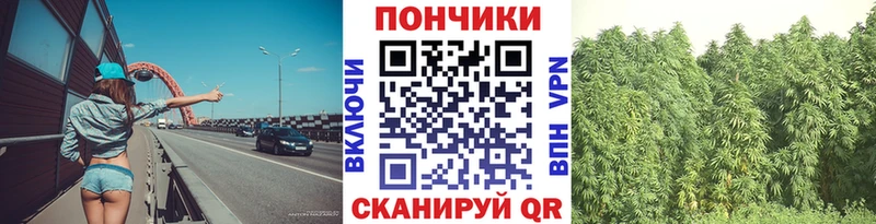 МАРИХУАНА план  Завитинск 